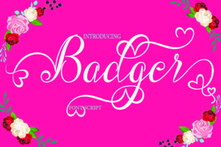 Badger: A Designer’s Honest Review for Real Projects