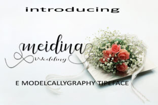 Meidina: A Handwritten Font for Modern Web Design